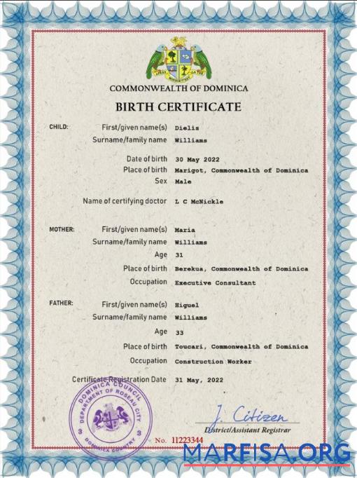 Realistic Dominica vital record birth certificate PSD template